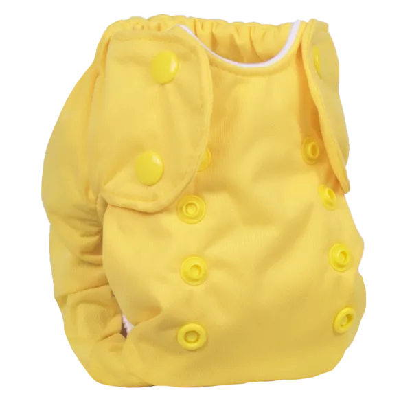 Smart Bottoms - Born Smart 2.0